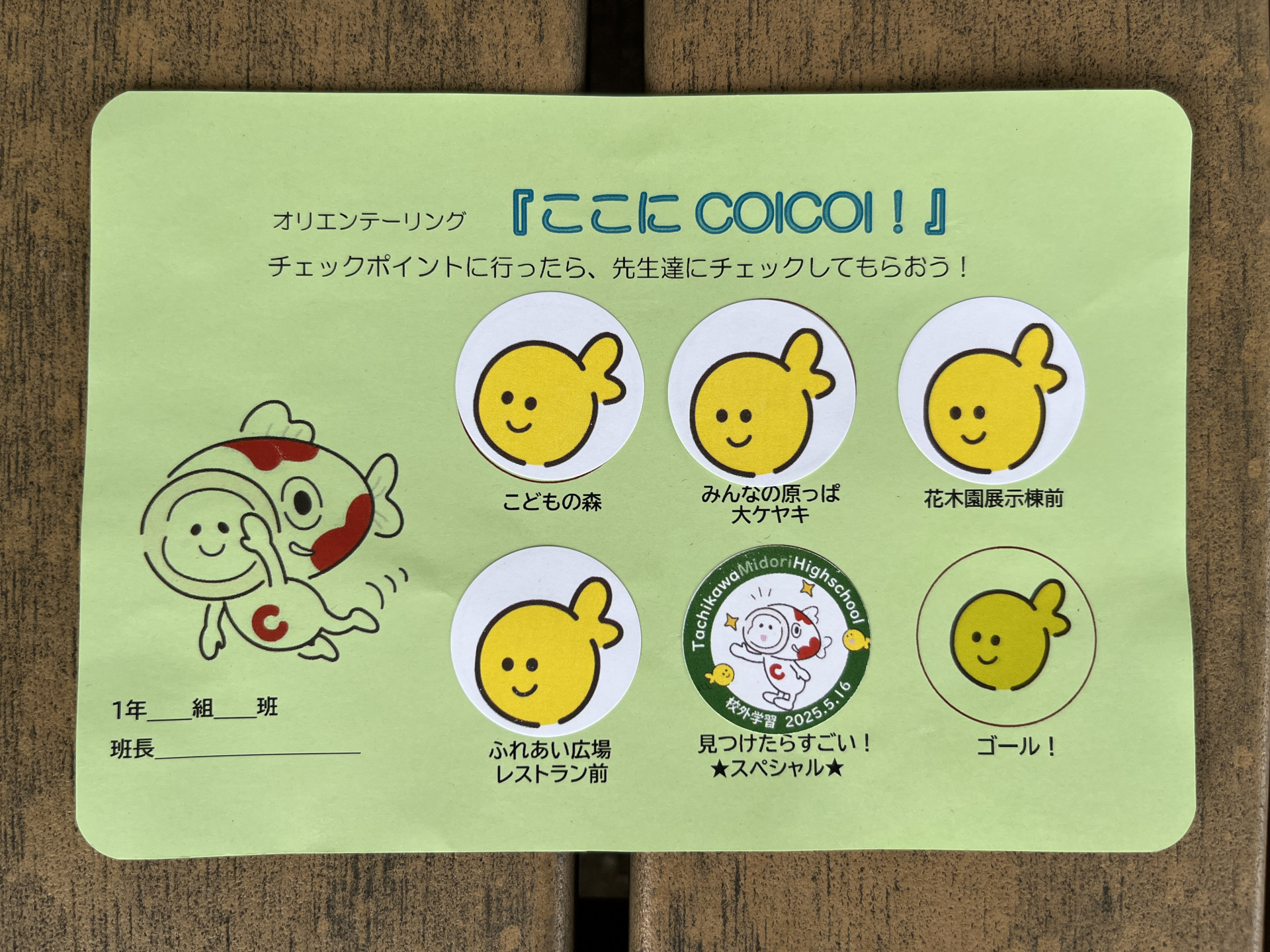 Image (4)